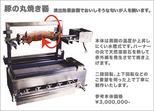 �؂̊ۏĂ���